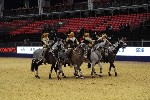 Quadrille - 00886